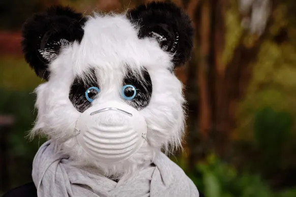 Oppa88888888 Casino Podrška